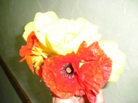 /album/galerie-photos/salades-plantes-fin-juin-091-jpg/